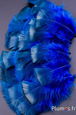 Tacchino bronzo sbiancato - 5-15 cm - blu-caramello